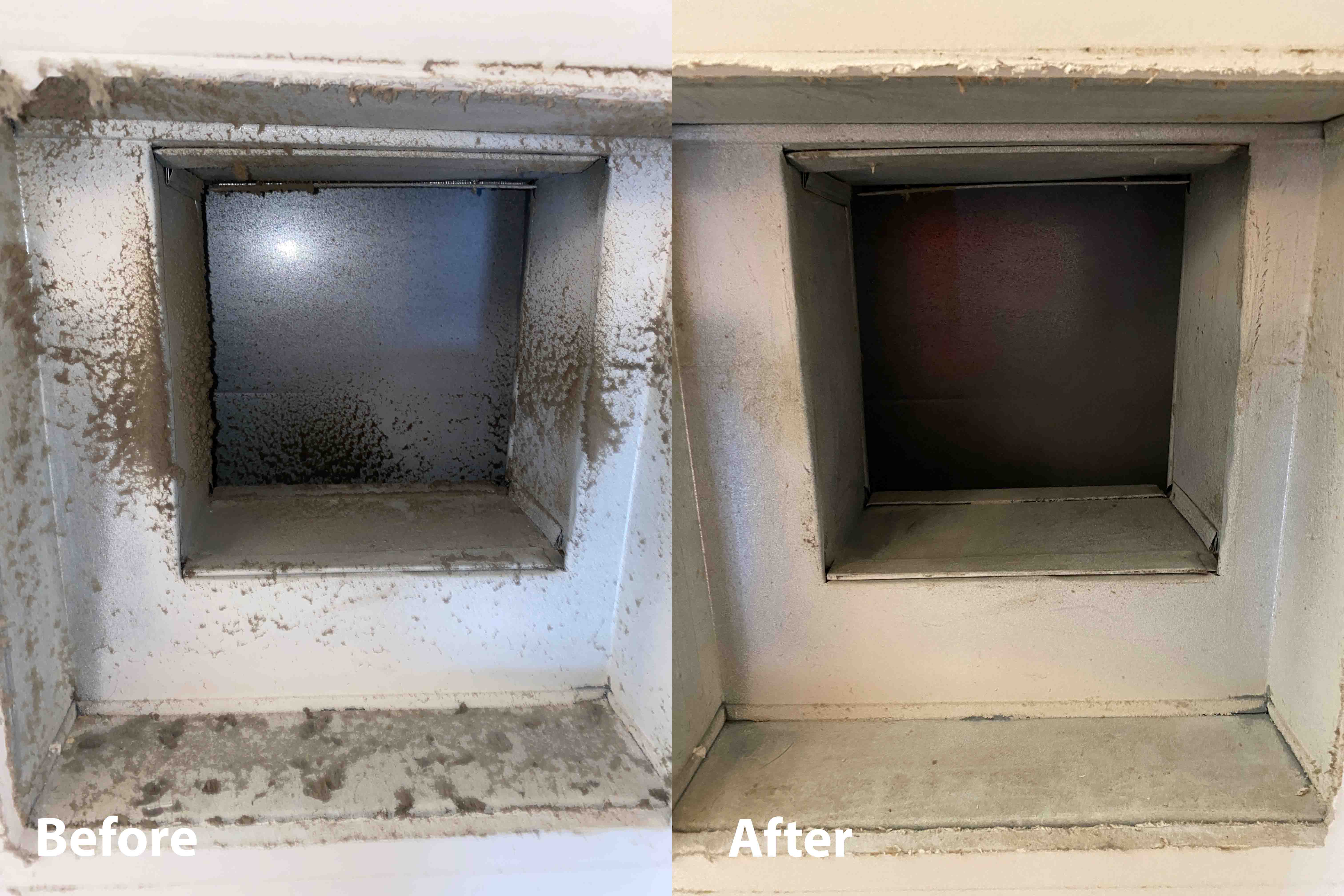 Zarts before after picture 0003