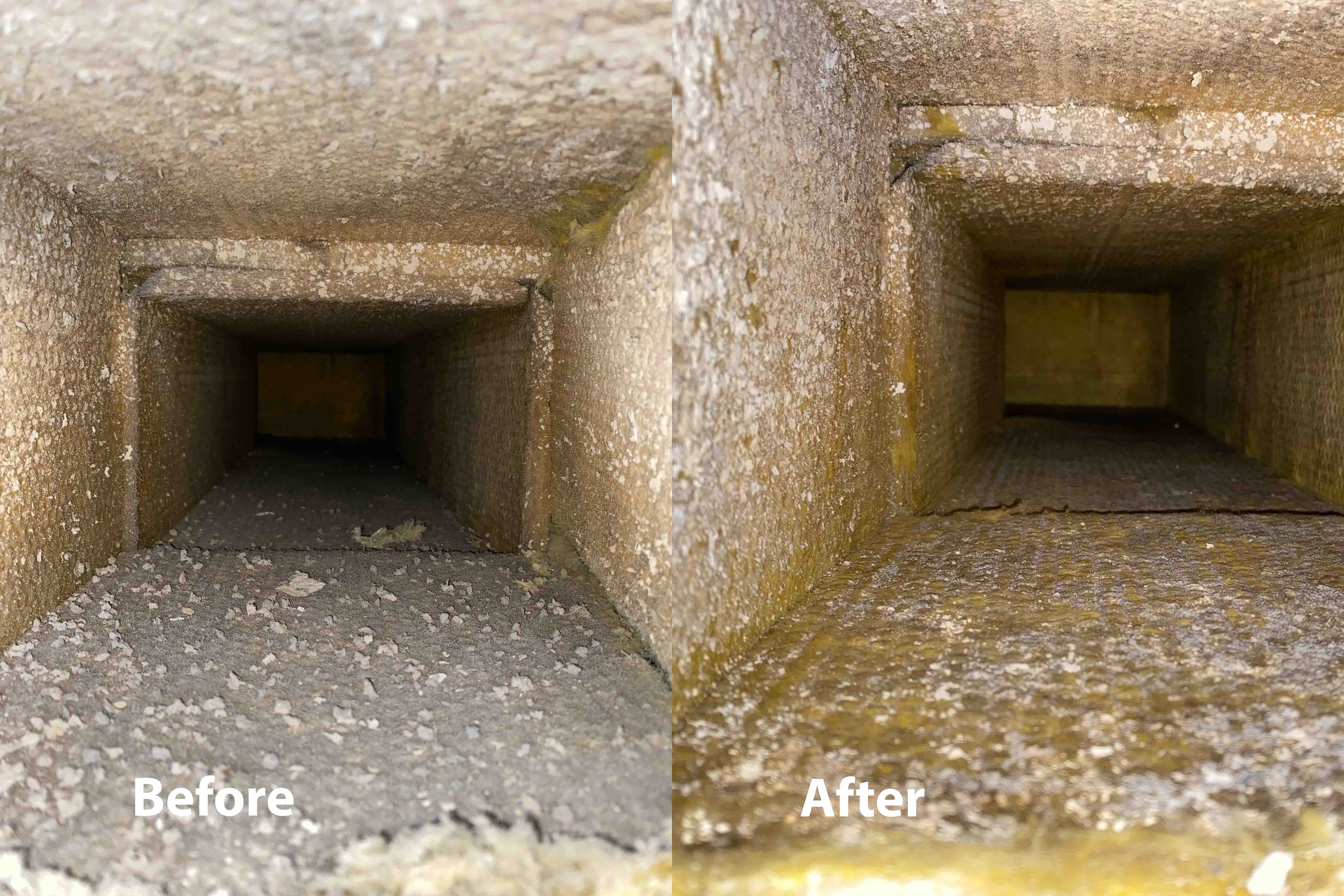 Zarts before after picture 0006