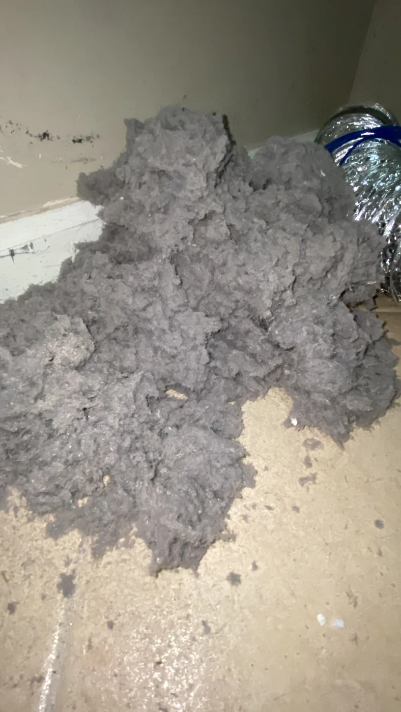 Pile of lint and debris beside a flexible dryer duct