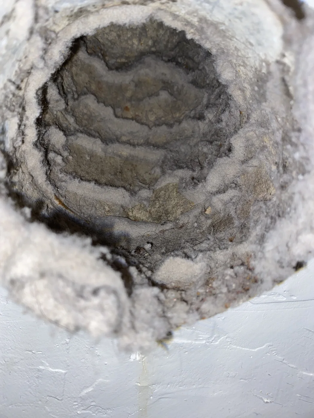 Heavy lint accumulation narrowing the opening of a flexible dryer exhaust duct