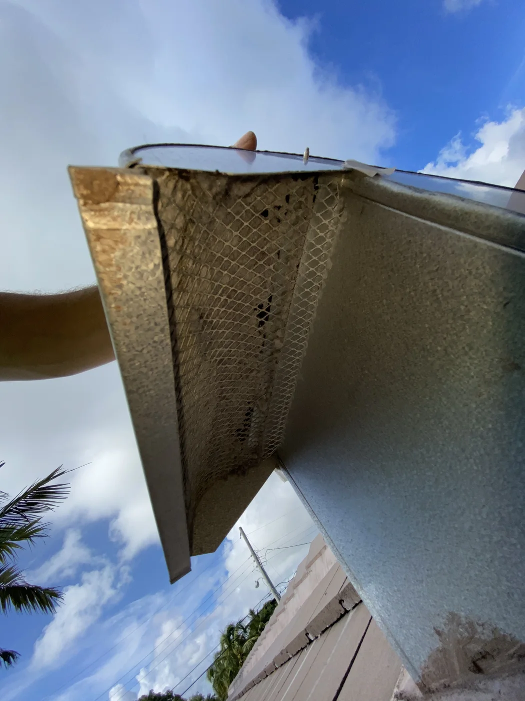 Fine mesh beneath an exterior exhaust hood with visible lint and debris