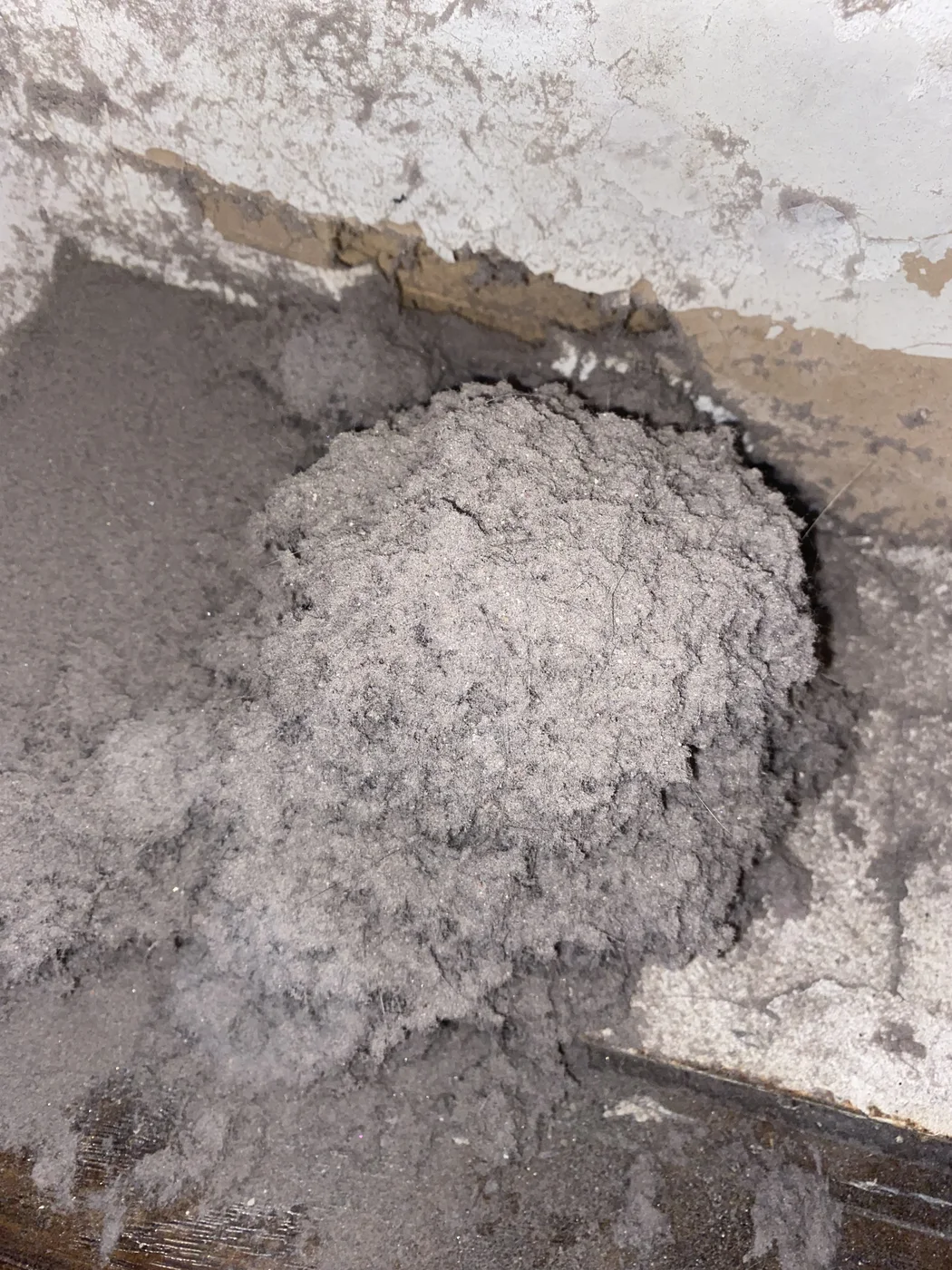 Large compacted mass of lint and debris
