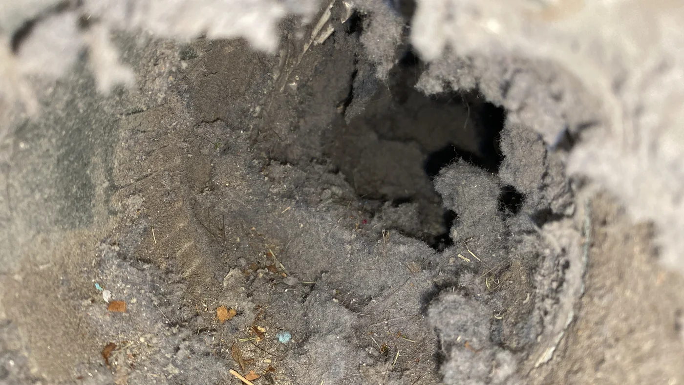 Compacted lint and small debris inside a dryer exhaust duct