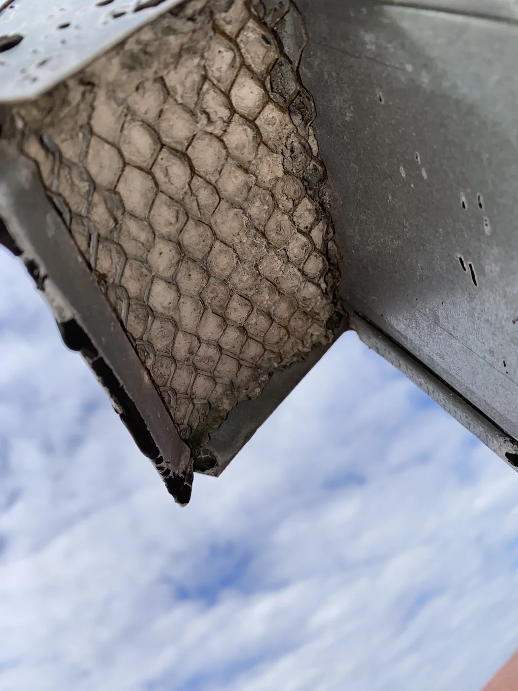 Fine mesh at an exterior exhaust hood covered with lint and debris