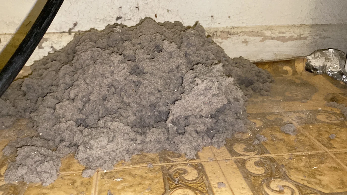 Large pile of lint and debris on a floor during dryer vent service