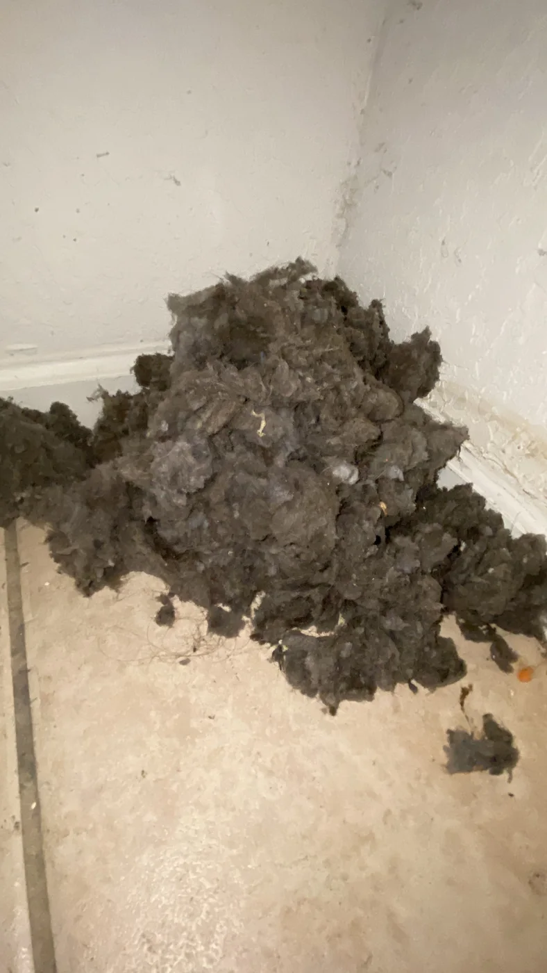 Pile of lint and debris on a floor during dryer vent service